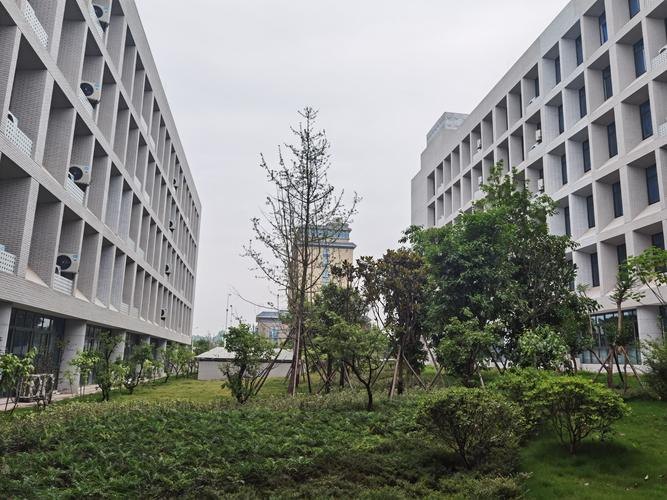 内江卫生与健康职业学院校园实景